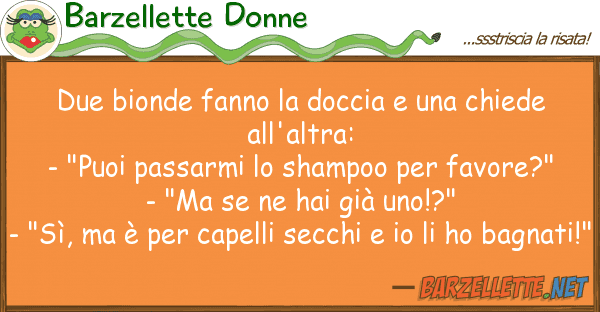 Barzellette Donne due bionde fanno doccia chiede