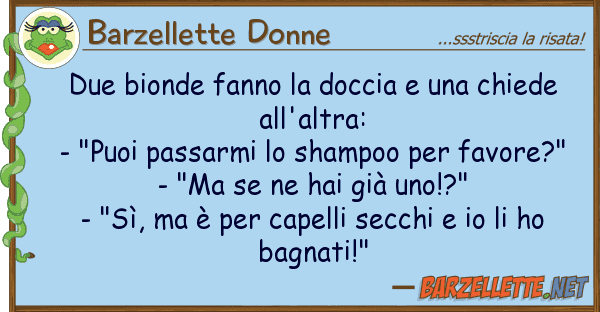 Barzellette Donne due bionde fanno doccia chiede