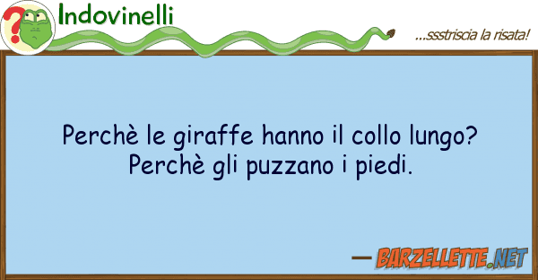 Indovinelli perchè giraffe hanno collo lungo?