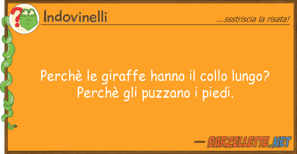 Indovinelli perchè giraffe hanno collo lungo?