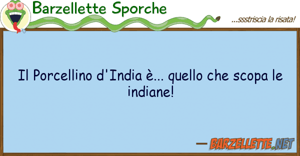 Barzellette Sporche porcellino d'india è... s