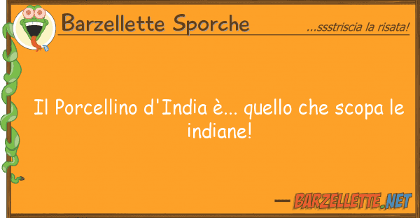 Barzellette Sporche porcellino d'india è... s