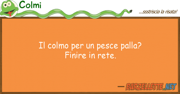 Colmi colmo pesce palla? finire r