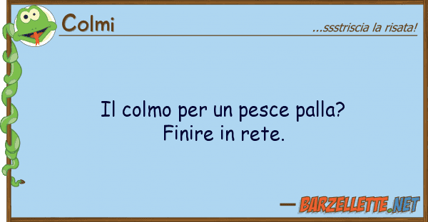 Colmi colmo pesce palla? finire r