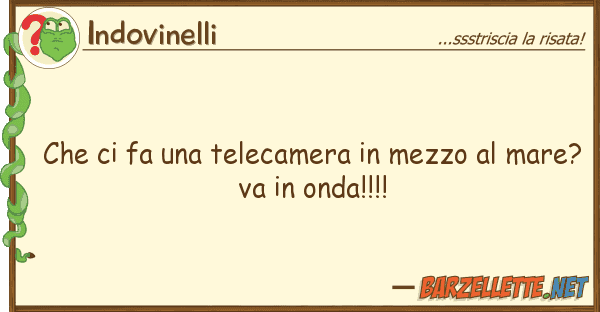 Indovinelli fa telecamera mezzo mar