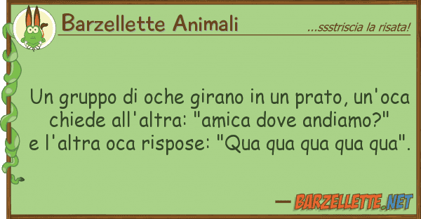 Barzellette Animali gruppo oche girano prato,