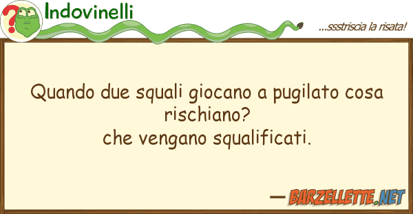 Indovinelli quando due squali giocano pugilato cos
