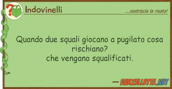 Indovinelli quando due squali giocano pugilato cos