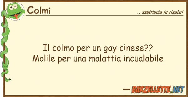 Colmi colmo gay cinese?? molile