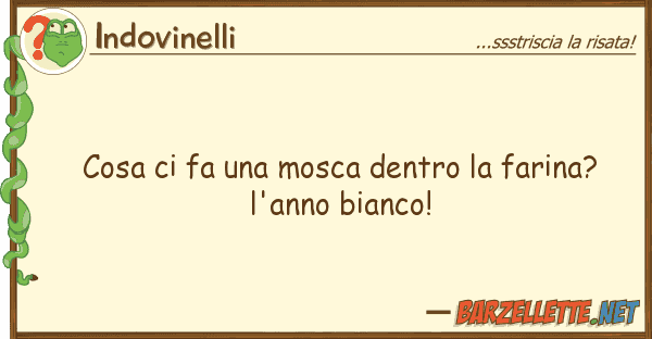 Indovinelli cosa fa mosca dentro farina?