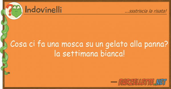 Indovinelli cosa fa mosca gelato p