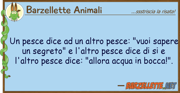 Barzellette Animali pesce dice altro pesce: "vuoi s