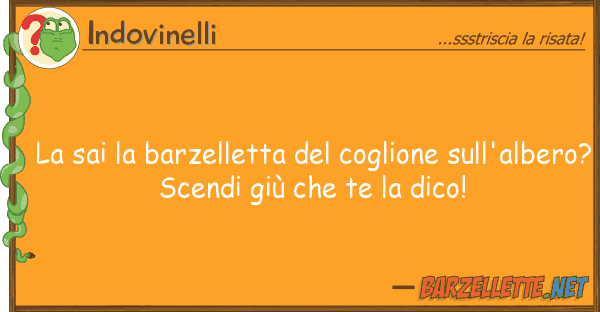 Indovinelli sai barzelletta coglione sull'