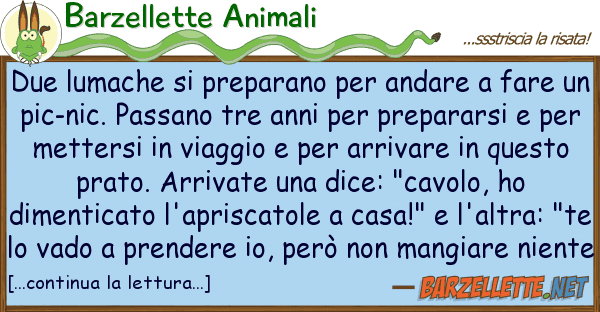 Barzellette Animali due lumache preparano andare fa
