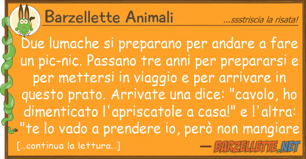 Barzellette Animali due lumache preparano andare fa