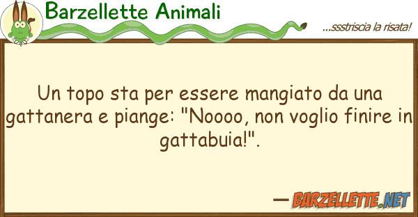 Barzellette Animali topo sta essere mangiato g
