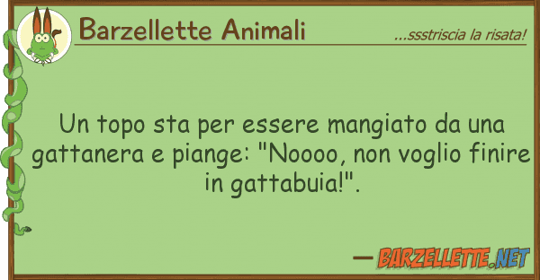 Barzellette Animali topo sta essere mangiato g