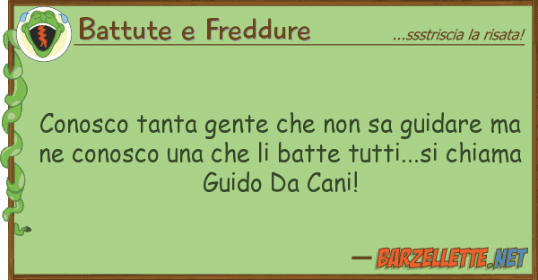 Battute e Freddure conosco tanta gente sa guidare m