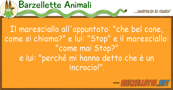 Barzellette Animali maresciallo all'appuntato: "che bel