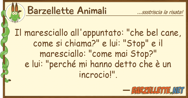 Barzellette Animali maresciallo all'appuntato: "che bel