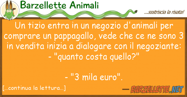 Barzellette Animali tizio entra negozio d'animali p