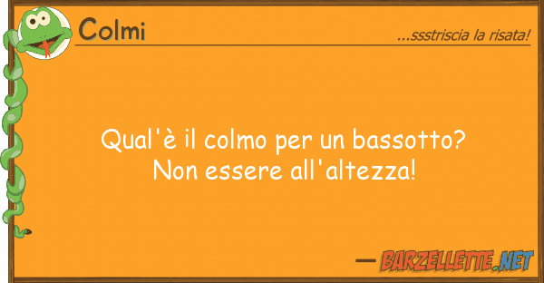Colmi qual'è colmo bassotto? es