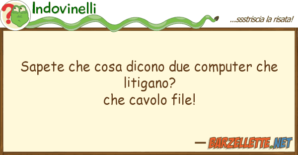 Indovinelli sapete cosa dicono due computer