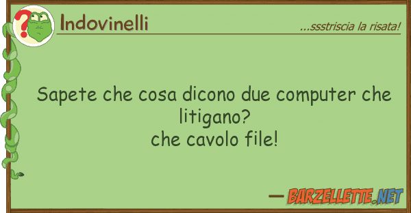 Indovinelli sapete cosa dicono due computer