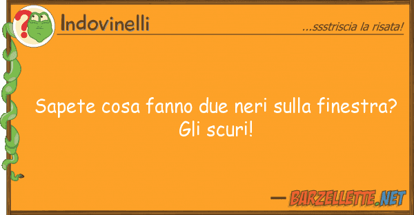 Indovinelli sapete cosa fanno due neri finestr