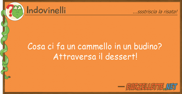Indovinelli cosa fa cammello budino? att