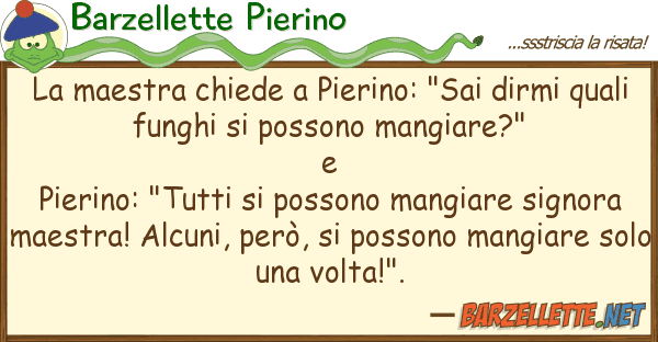 Barzellette Pierino maestra chiede pierino: "sai dirmi
