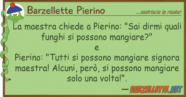 Barzellette Pierino maestra chiede pierino: "sai dirmi