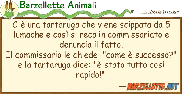 Barzellette Animali c'è tartaruga viene scippata