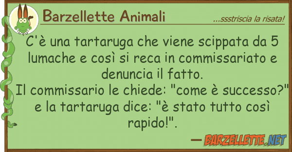 Barzellette Animali c'è tartaruga viene scippata