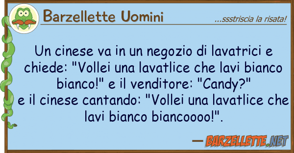Barzellette Uomini cinese va negozio lavatrici