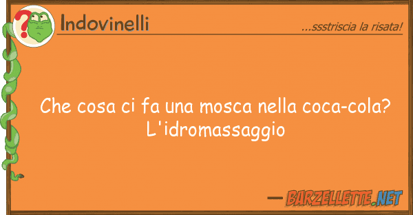 Indovinelli cosa fa mosca coca-cola