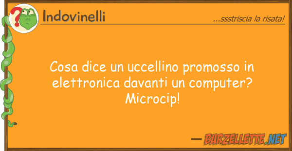 Indovinelli cosa dice uccellino promosso elett