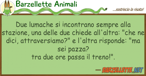 Barzellette Animali due lumache incontrano sempre st
