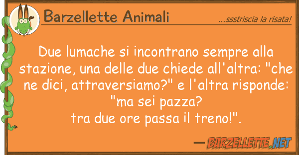 Barzellette Animali due lumache incontrano sempre st