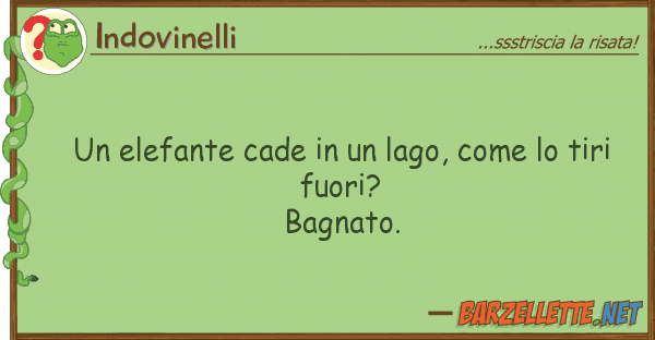 Indovinelli elefante cade lago, tir