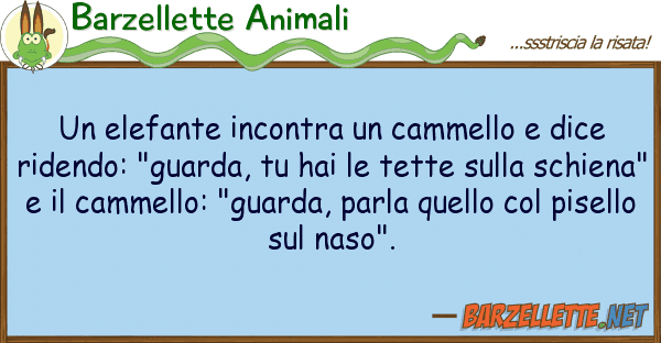 Barzellette Animali elefante incontra cammello dice