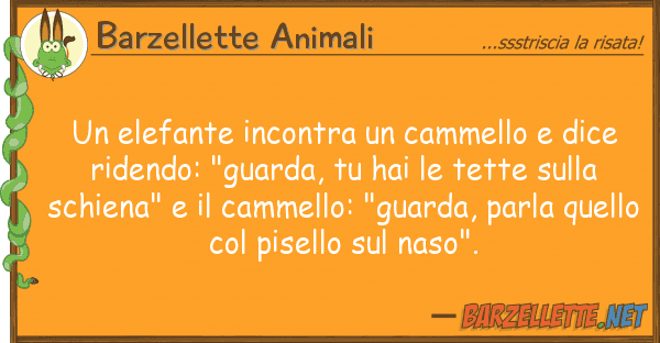Barzellette Animali elefante incontra cammello dice