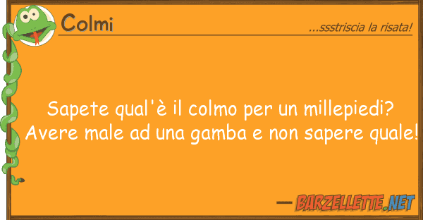 Colmi sapete qual'è colmo millepied