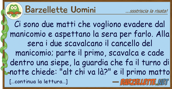 Barzellette Uomini sono due matti vogliono evadere d