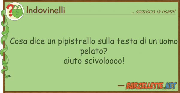 Indovinelli cosa dice pipistrello testa
