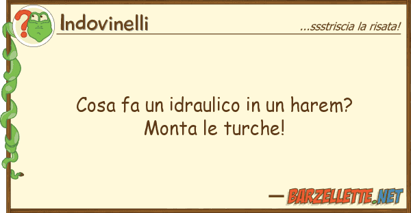 Indovinelli cosa fa idraulico harem? monta