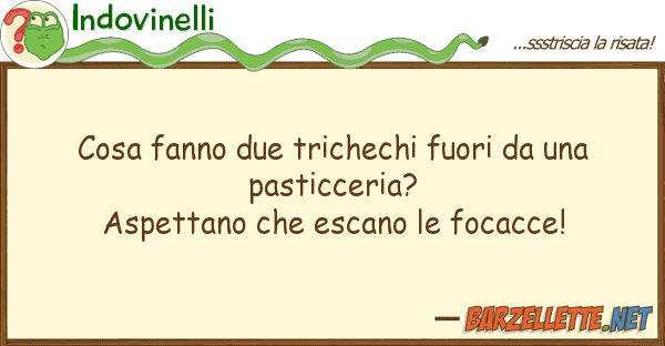 Indovinelli cosa fanno due trichechi fuori pa