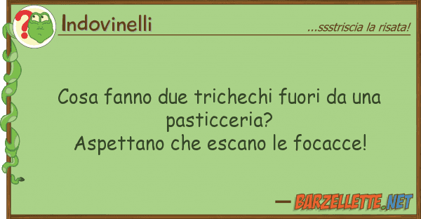 Indovinelli cosa fanno due trichechi fuori pa