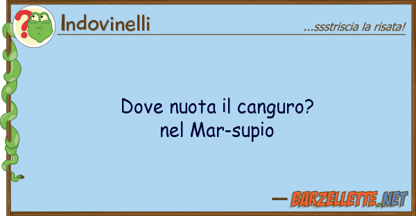 Indovinelli nuota canguro? mar-supio