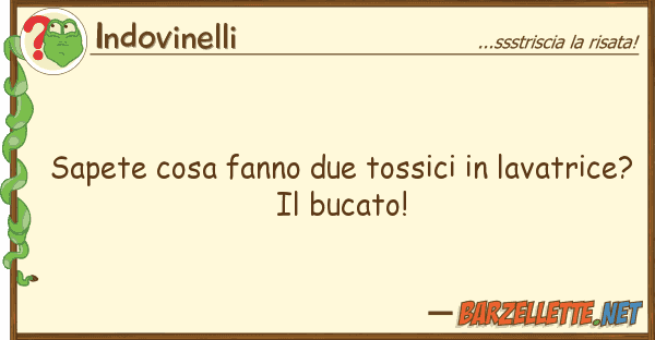 Indovinelli sapete cosa fanno due tossici lavatri